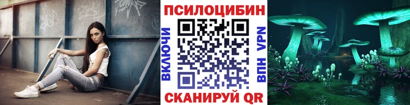 Псилоцибиновые грибы ЛСД  mega зеркало  Алейск 