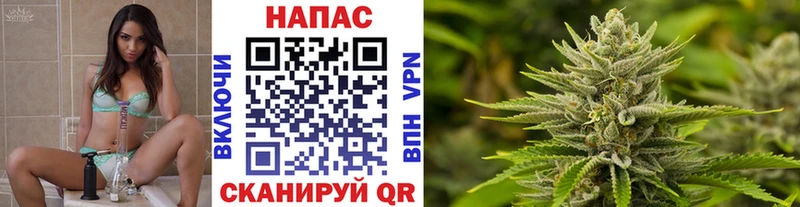 Марихуана семена  shop наркотические препараты  Алейск 