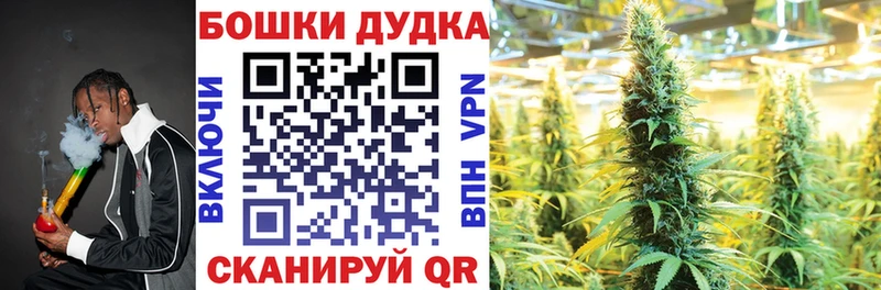 Марихуана план Алейск